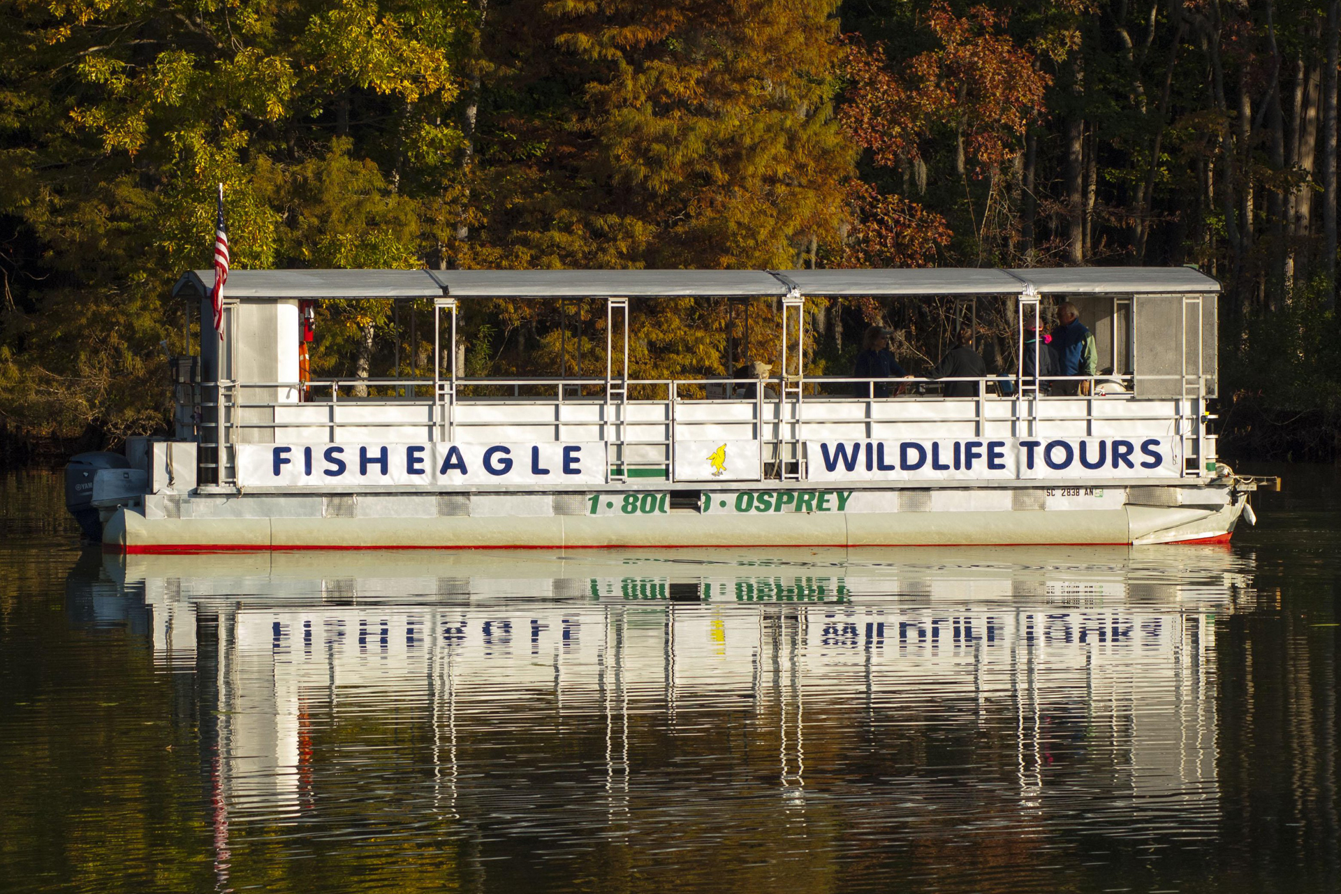Fish Eagle Wildlife Tours Pontoon Boat