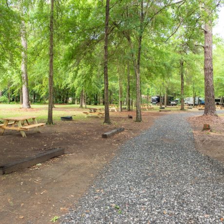 Gravel path with trees on either side