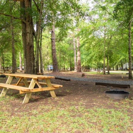 Benches by the firepit