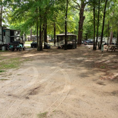 camp site with lots of trees