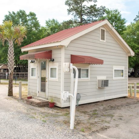 Small building next to a palm tree on gravel road