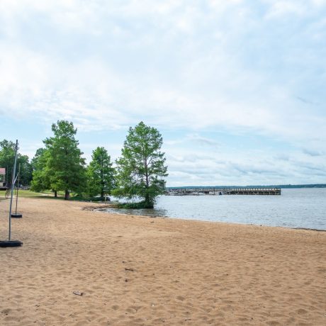 Sand and trees by the lake