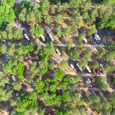 Aerial view of Palmetto Shores Resort with lots of trees