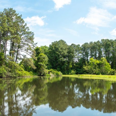 Catch & Release Fishing Pond